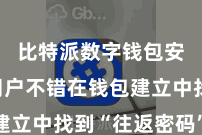 比特派数字钱包安全 用户不错在钱包建立中找到“往返密码”选项