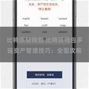 比特派轻钱包 比特派钱包多链资产管理技巧：全面攻略