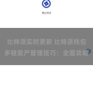 比特派实时更新 比特派钱包多链资产管理技巧：全面攻略