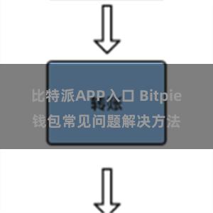 比特派APP入口 Bitpie钱包常见问题解决方法