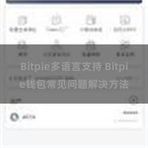 Bitpie多语言支持 Bitpie钱包常见问题解决方法