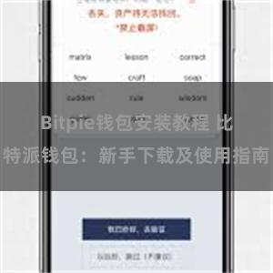 Bitpie钱包安装教程 比特派钱包：新手下载及使用指南