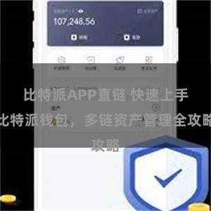 比特派APP直链 快速上手比特派钱包，多链资产管理全攻略