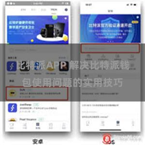 比特派APP 解决比特派钱包使用问题的实用技巧