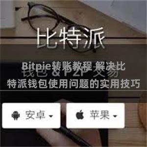 Bitpie转账教程 解决比特派钱包使用问题的实用技巧