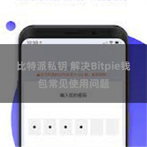 比特派私钥 解决Bitpie钱包常见使用问题