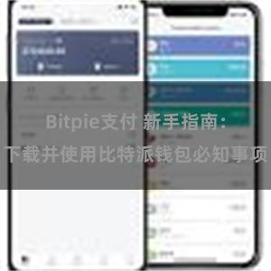 Bitpie支付 新手指南：下载并使用比特派钱包必知事项