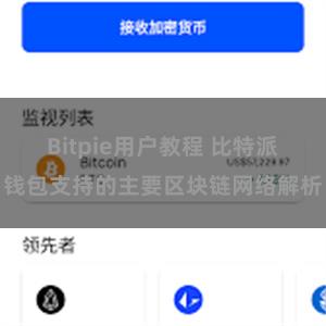 Bitpie用户教程 比特派钱包支持的主要区块链网络解析