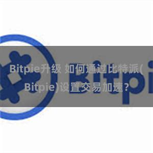 Bitpie升级 如何通过比特派(Bitpie)设置交易加速？