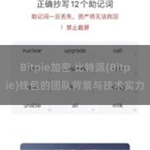 Bitpie加密 比特派(Bitpie)钱包的团队背景与技术实力