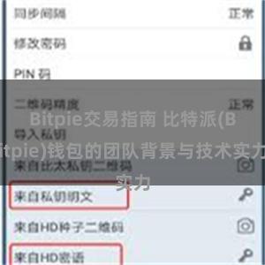 Bitpie交易指南 比特派(Bitpie)钱包的团队背景与技术实力