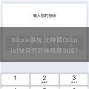 Bitpie系统 比特派(Bitpie)钱包有哪些隐藏功能？