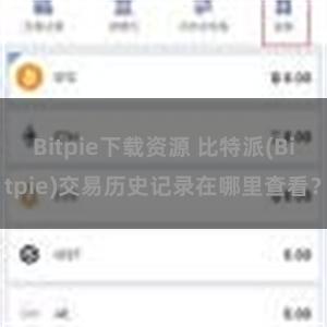 Bitpie下载资源 比特派(Bitpie)交易历史记录在哪里查看？