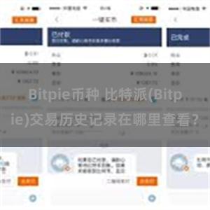 Bitpie币种 比特派(Bitpie)交易历史记录在哪里查看？