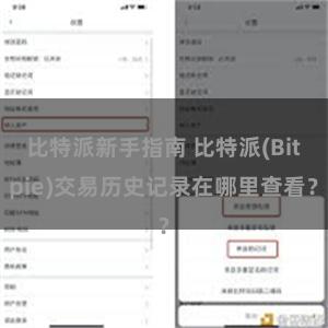 比特派新手指南 比特派(Bitpie)交易历史记录在哪里查看？