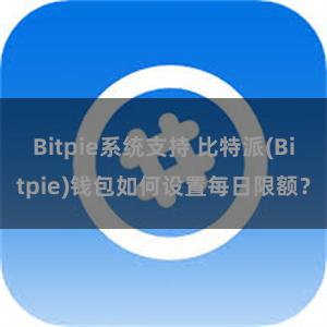 Bitpie系统支持 比特派(Bitpie)钱包如何设置每日限额？