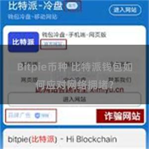 Bitpie币种 比特派钱包如何应对网络拥堵？