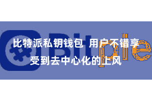 比特派私钥钱包  用户不错享受到去中心化的上风