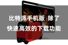 比特派手机版  除了快速高效的下载功能