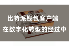 比特派钱包客户端  在数字化转型的经过中